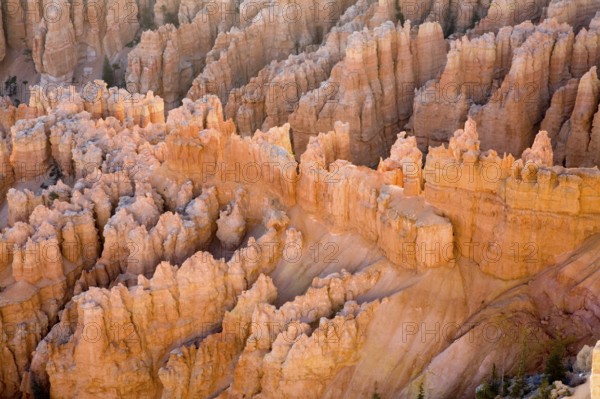 Hoodoos, pillar of rocks made by erosion at Bryce Canyon national park, U.S.A. United States of America