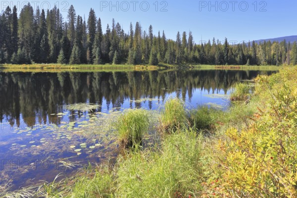 The picturesque lake in the Canadian Rockies. The lake is surrounded by dense forest. Sunset in Jasper National Park