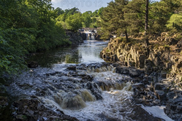 The Low Force Waterfall near Bowlees, County Durham, England, UK