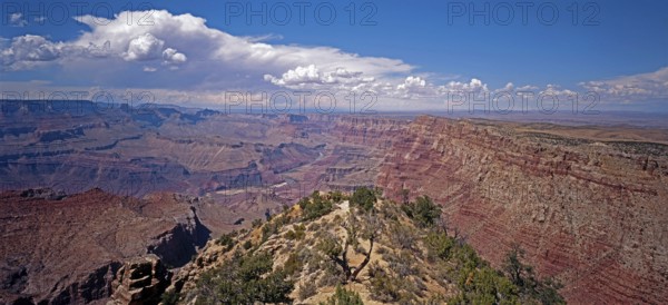 Grand Canyon National Park, Arizona, USA, North America