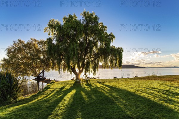 Magnificent sunset. Warm evening on the lake. New Zealand. The largest Lake Taupo. The magnificent lake is a popular holiday destination for tourists