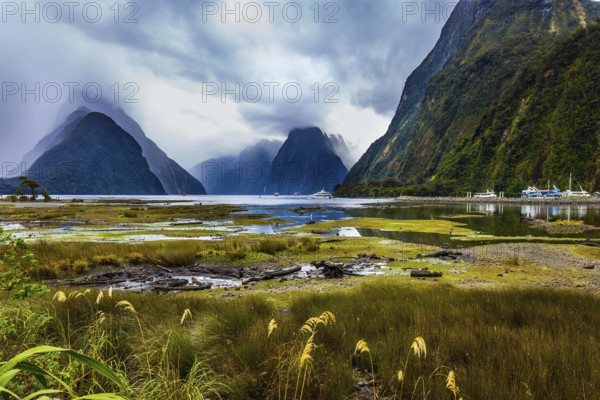 Overgrown with marsh grass coast of the fjord. Sunlight breaks through storm clouds. New Zealand - magic land of hobbits. Concept of exotic, active and photographic tourism
