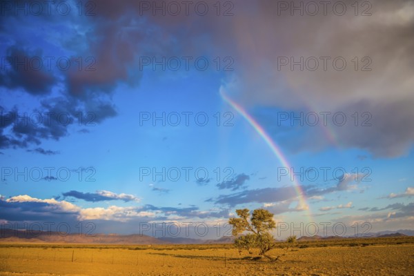 The concept of ecotourism. The magnificent rainbow crosses the sky over desert in Namibia. Dirt road in the African steppe