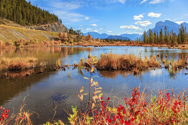 Magnificent golden autumn in the Rocky Mountains of Canada. Mountains and lakes in autumnal gold foliage. The Lake Vermillon reflects the snow-white clouds