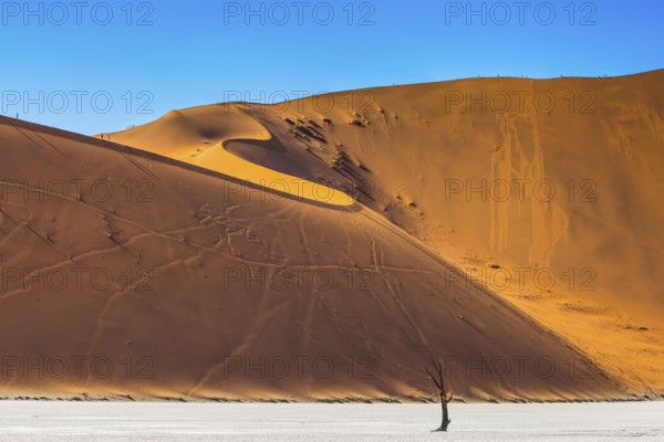Namib-Naukluft National Park. Orange-gold sand dunes around the dried up lake. On the crest of the dunes are tourists. Travel to Namibia