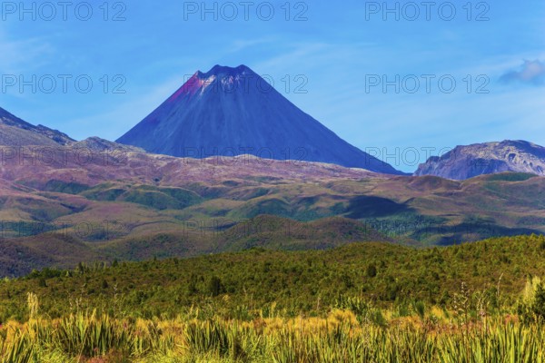 Ngauruhoe - the youngest active volcano, perfectly regular cone-shaped. Magnificent volcanic massif of Tongariro Park. North Island, New Zealand. The concept of active and phototourism