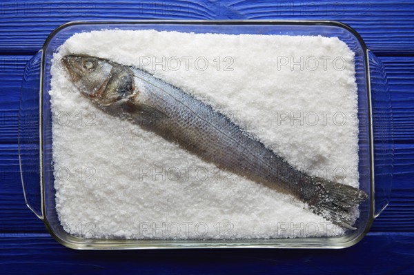 Seabass baked in sea salt seabass crusted from Mediterranean lubina