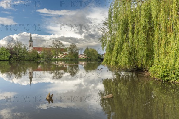 Huttenheim village reflected in a natural tree-lined river in spring. Bas Rhin, Alsace, France, Europe
