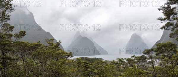 Magnificent panoramic view of Milford Sound during rainy weather, South Island of New Zealand
