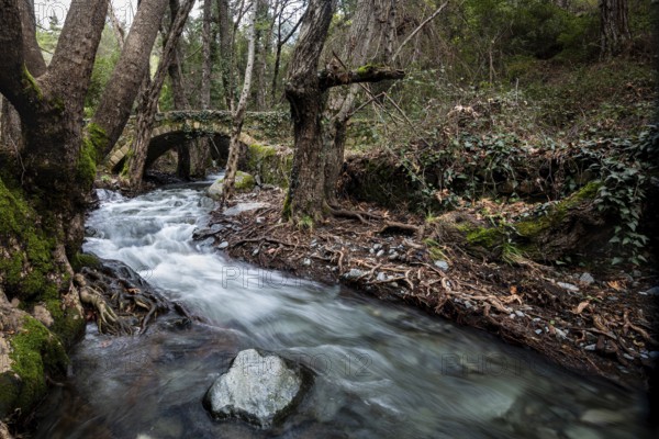 Beautiful medieval stoned bridge or Milia with river full with water flowing at Troodos mountains in Cyprus
