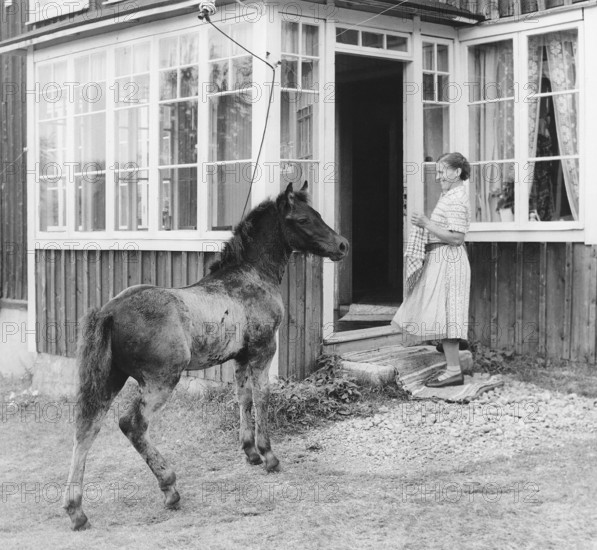 Horse on the doorstep in the 1950s. The photograph depicts an elderly woman standing at the front door of a wooden house. Beside her, a young horse has wandered up and positioned itself close by, its curious presence adding a touch of whimsy to the scene. The unexpected companionship between the woman and the colt creates a charming, timeless moment of everyday life