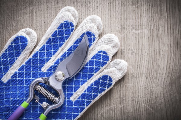 Steel garden pruner with rubber protective gloves on wood board agriculture concept