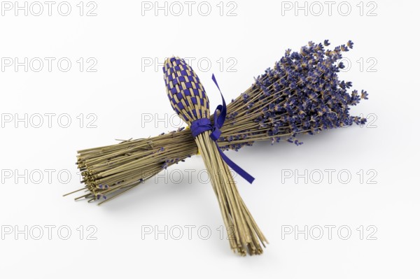 Dried lavender (Lavandula) flowers and handmade lavender wand isolated on white background