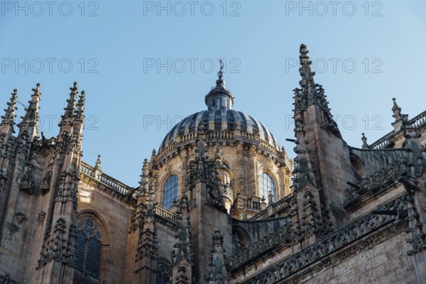 View of the roofs and dome of the Old Cathedral of Salamanca a blue sky day. Castilla y Leon, Spain, Europe