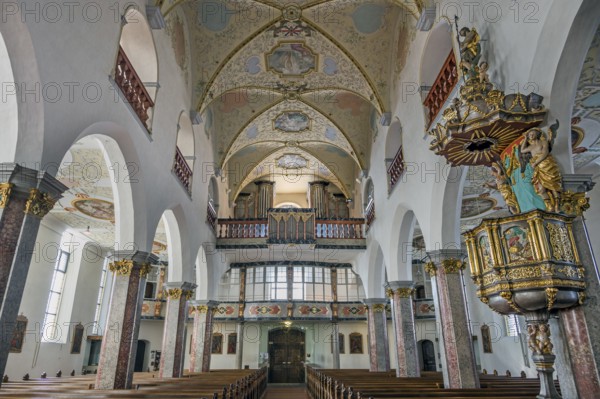 Nave with organ loft and pulpit, former collegiate church of St Peter, a Roman Catholic parish church, Bad forest lake, Upper Swabia, Baden-Württemberg