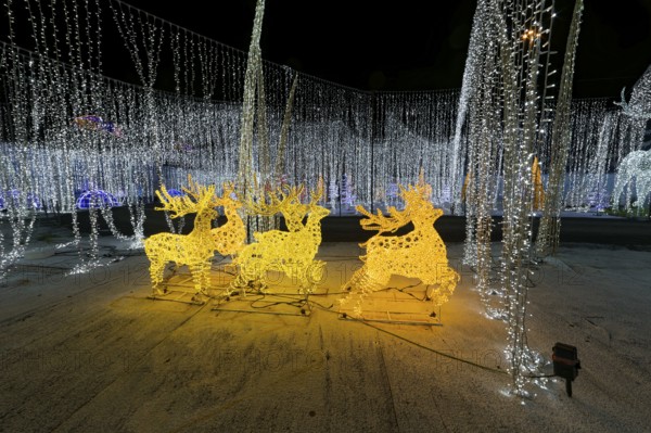 Illumi light show event, 25 million lights, winter wonderland, Laval, Province of Quebec, Canada, North America