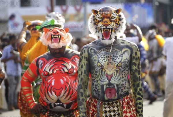 Trained dancers with their carefully painted bodies guise of tigers perform the famous Pulikali streets of Thrissur, Kerala
