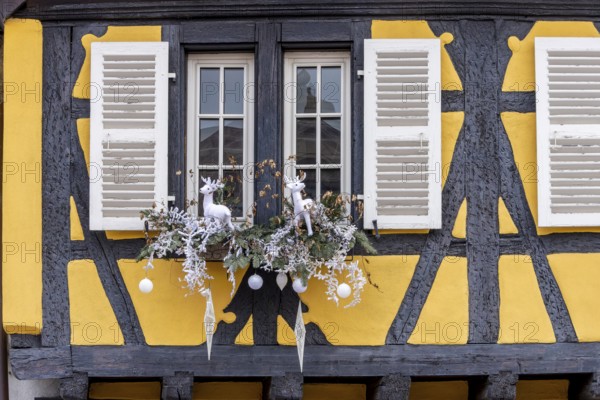 Yellow half-timbered house with a window decorated for Christmas, Colmar, Alsace, Département Bas-Rhin, France, Europe