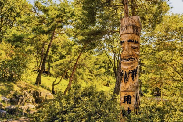 Boeun-gun, South Korea, September 13, 2019: Korean jangseung (village guardian) on display in wooded public park, Asia