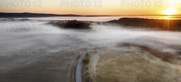 Harz landscape in the fog autumn mood