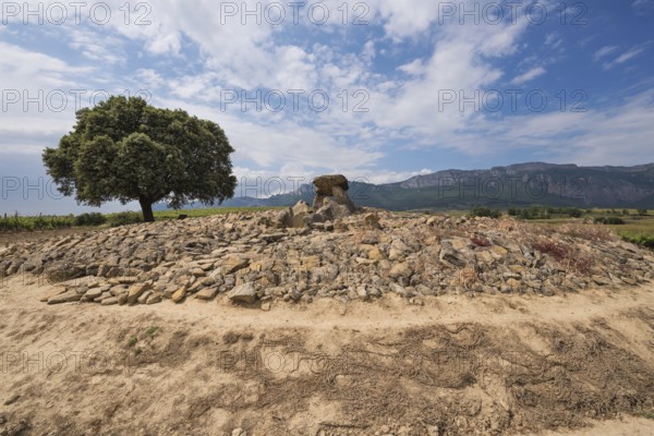 Megalithic Dolmen Chabola de la Hechicera, in La Guardia, Basque Country, Spain, Europe