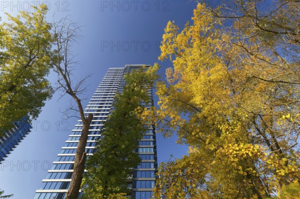 Architecture, modern high-rise apartment building, Montreal, Province of Quebec, Canada, North America