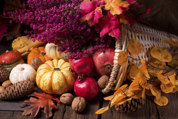 Cornucopia