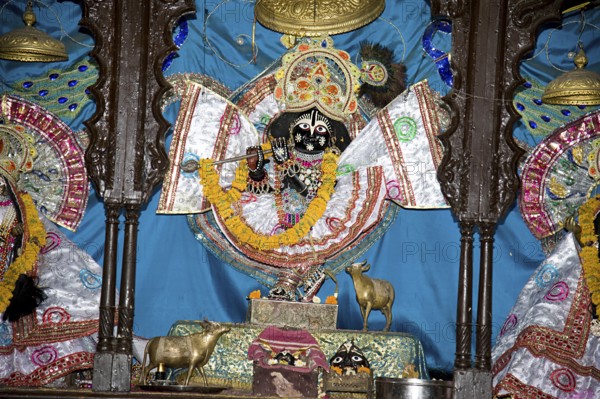 Statue radha gopinath ji temple, vrindavan, uttar pradesh, india, asia
