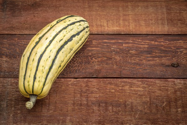 Delicata winter squash against rustic red painted wood barn table with a copy space