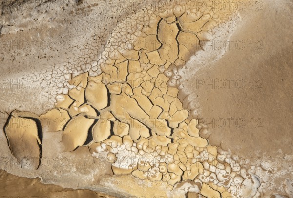 Dry cracked ground background. Concept image of global warming