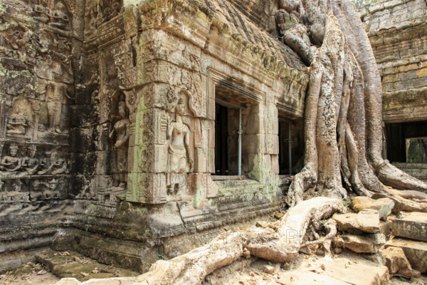 Ta Prohm temple complex near Angkor Wat in Cambodia