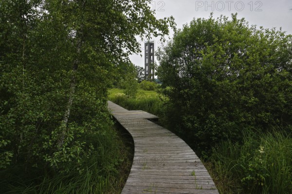 Bannwaldturm im Pfrunger-Burgweiler Ried in Oberschwaben, Baden-Württemberg, protected forest tower at the Pfrunger-Burgweiler reedy marsh in Upper Swabia, Baden-Württemberg