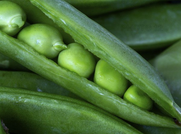 Close Up Peas pod green vegetable macro angle