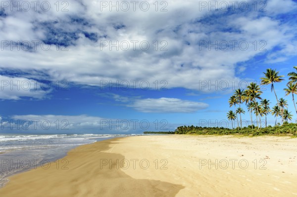Paradisiacal tropical beach of Sargi in Serra Grande in Bahia, northeastern Brazil