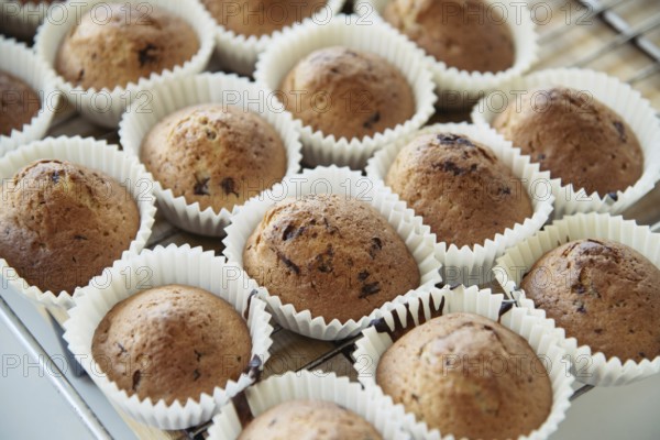 Homemade Muffins with Chocolate Chips on a Oven Grill over a Wooden Table, in a shallow depth of field. Homemade pastries