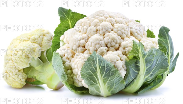 Fresh whole and partial cauliflower with green leaves isolated on a white background in high resolution
