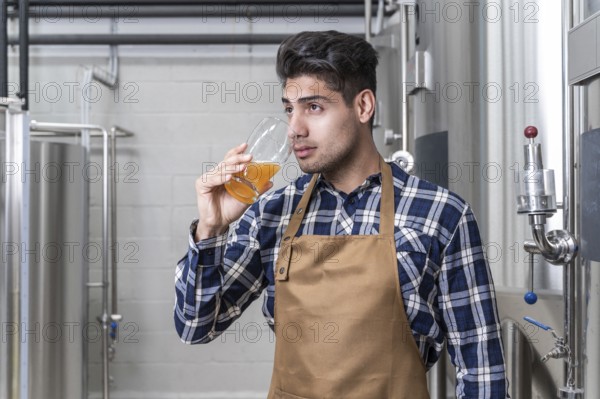Handsome brewer in apron testing beer at brewery. High quality photography