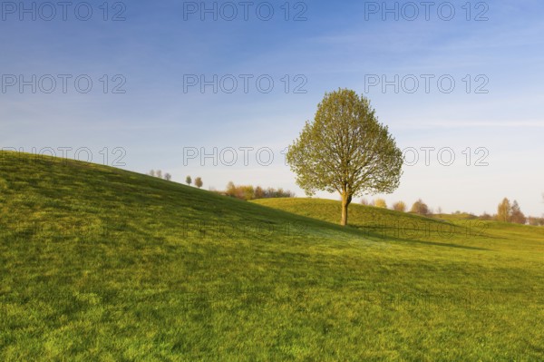 On a empty golf course at sunset