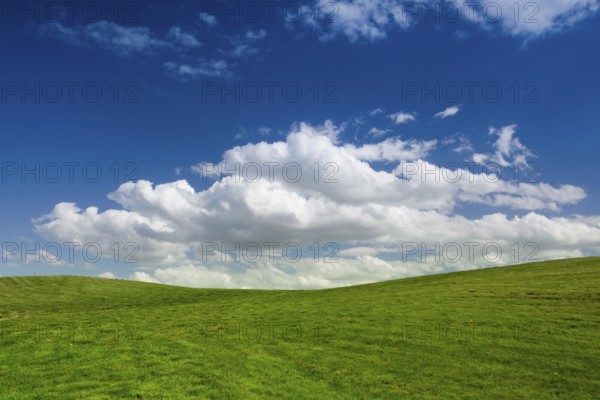 On a empty golf course in spring day