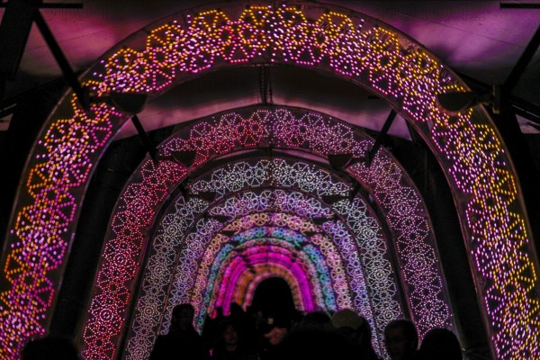 Light of the tunnel (Christmas illuminations). Shooting Location: Tokyo metropolitan area