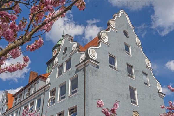 Volute gable, secondary school, Wittelsbacherschule from 1906 and early ornamental cherry Accolade (Prunus subhirtella), in Kempten, Allgäu, Swabia, Bavaria, Germany, Europe