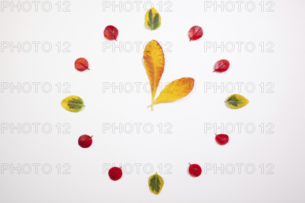Autumn Time - Clock of autumn leafs