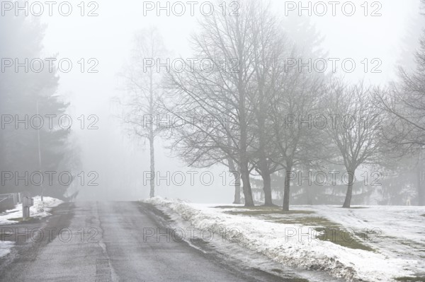 Road and park in fog in early spring in Finland