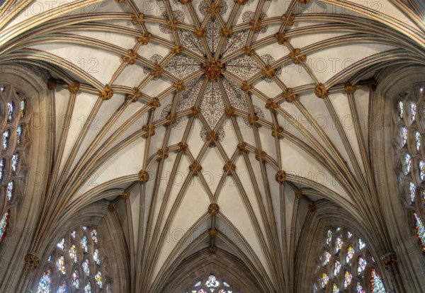 Wells, Cathedral, Lady Chapel, vaulted ceiling