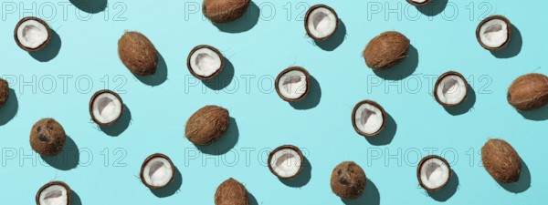 Creative layout of coconuts half on blue background. Tropical pattern, top view or flat lay. Hard light pop art minimal summer background. Horizontal banner