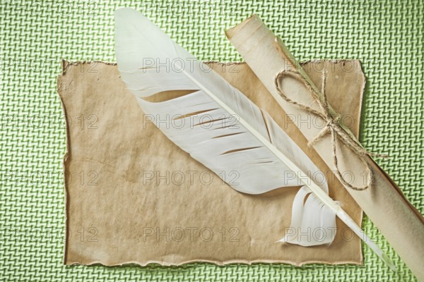 Vintage sheet paper roll quill on green surface horizontal view