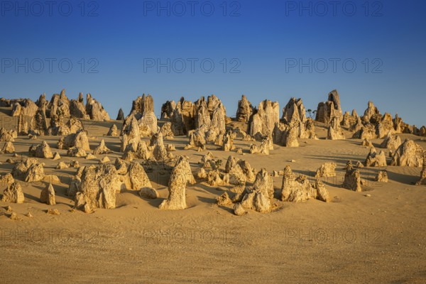 Pinnacles Desert, Nambung National Park, Kalbarri Region, Western Australia, Australia, Oceania