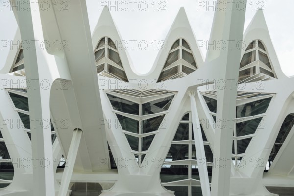 Valencia, Spain, July 30, 2023: Museum of Sciences Prince Philip in the City of Arts and Science. It resembles the skeleton of a whale and was designed by famous Spanish architect Santiago Calatarava, Europe