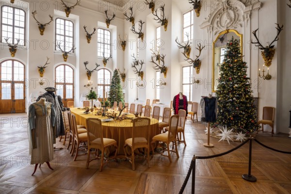 Castle Moritzburg, interior, dining hall, banqueting hall, Christmas, Dresden, Saxony, Germany, Europe