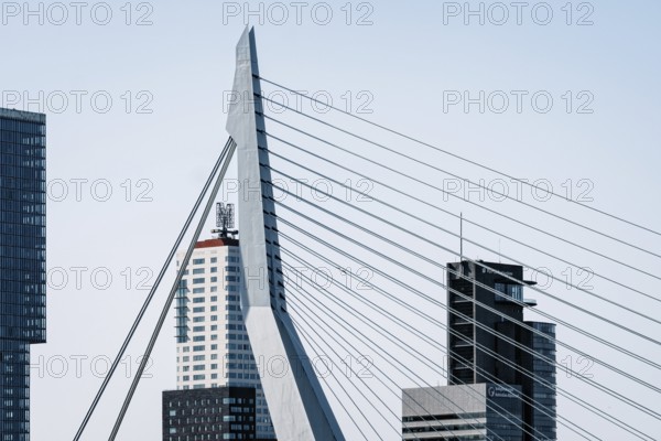 Rotterdam, Netherlands, May 8, 2022: Port of Rotterdam skyscraper and Erasmusbrug bridge against sky. Contemporary architecture. Telephoto lens view